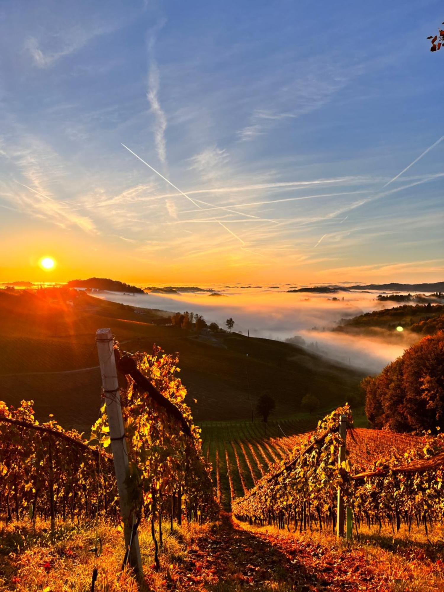 Weingut & Gaestezimmer Weissenbacher Homestay Gamlitz